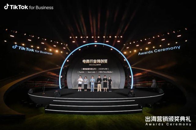 TikTok for Business 领创奖